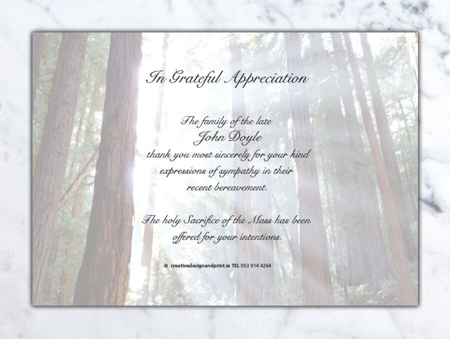 forest sun acknowledgement cards