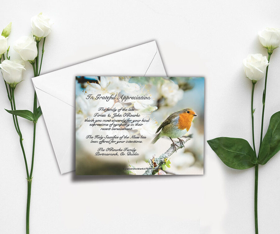 Perched Robin Acknowledgement Cards