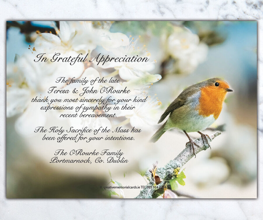 Perched Robin Acknowledgement Cards