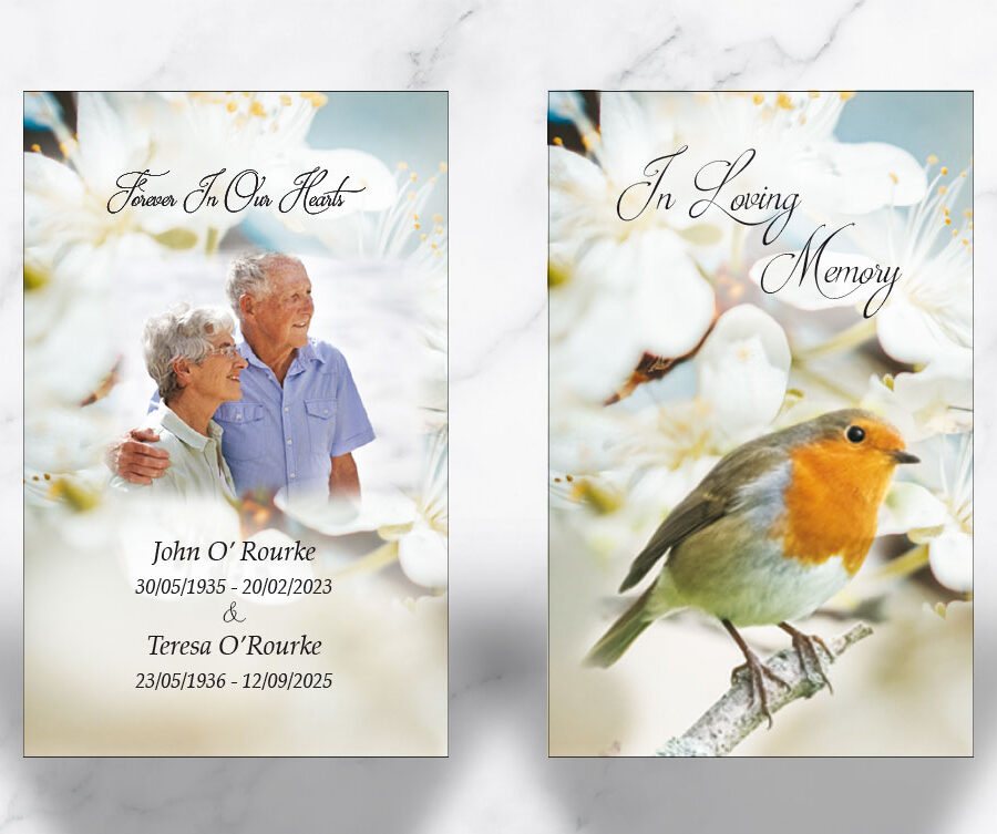 Perched Robin Wallet Cards