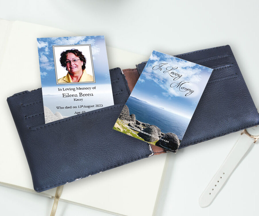 Skellig Michael Wallet Cards