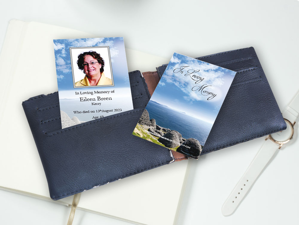 Skellig Michael Wallet Cards
